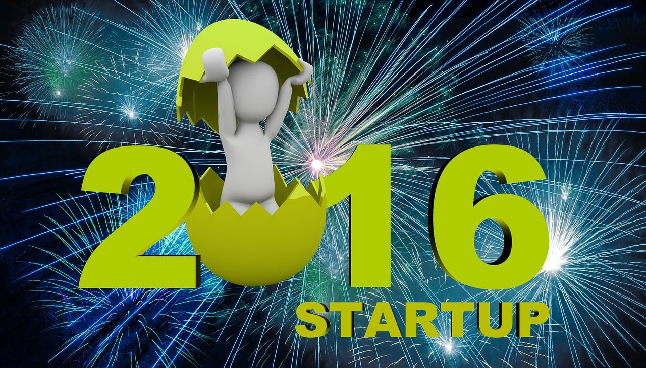 五月烟花行业最新动态概览