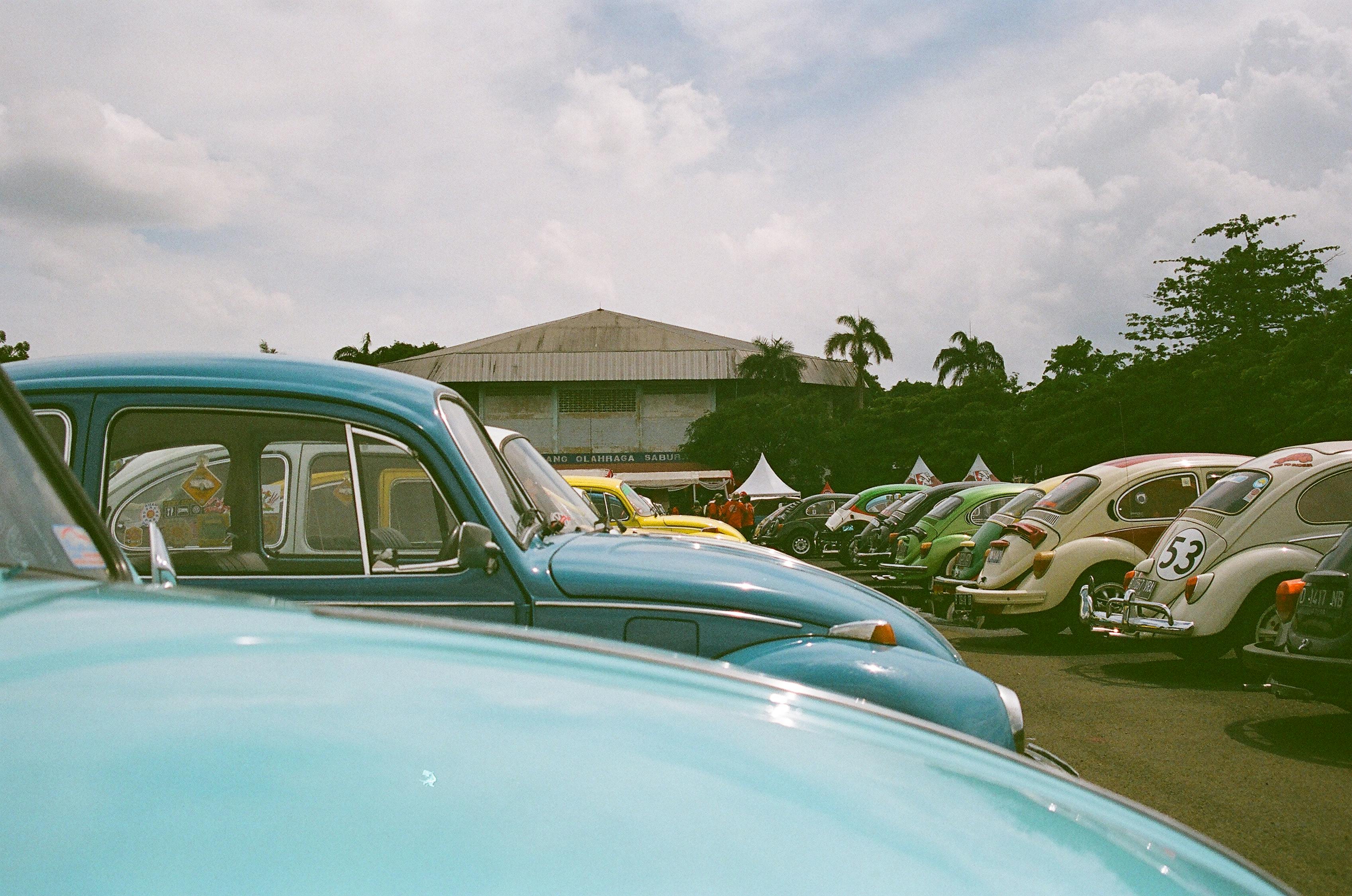 五月大众甲壳虫价格揭秘，走势分析与购买建议