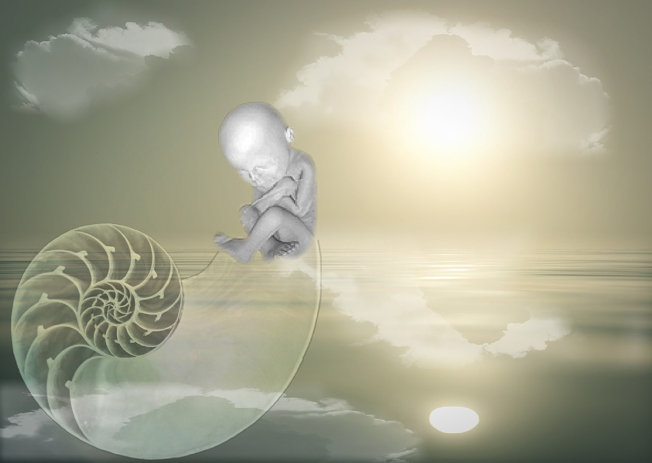 五月米粒家族温馨小品时光