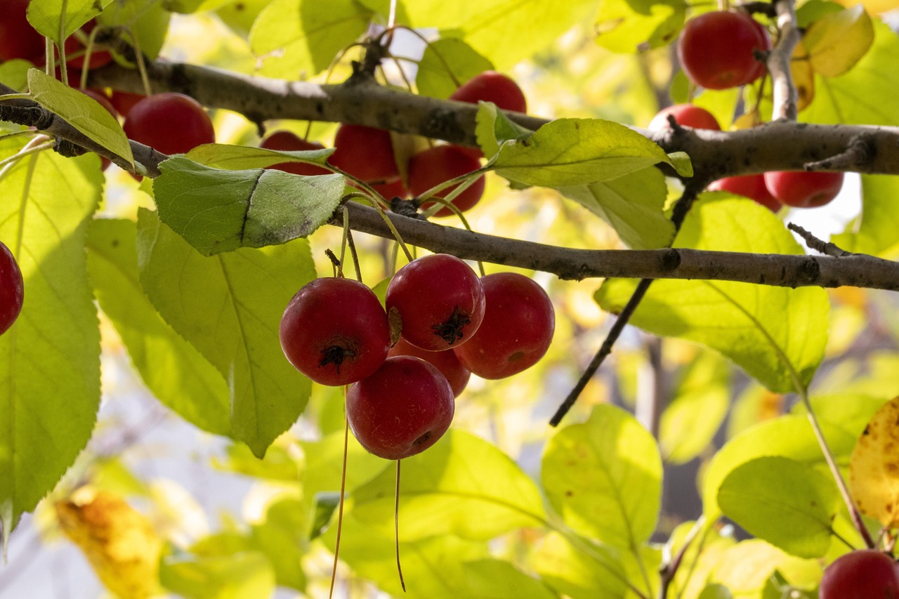 五月郑州永威城最新动态揭秘