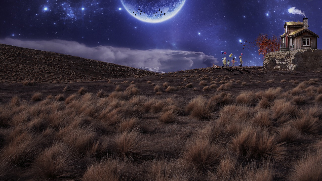 五月与你一起飞翔，群星闪耀的演员阵容