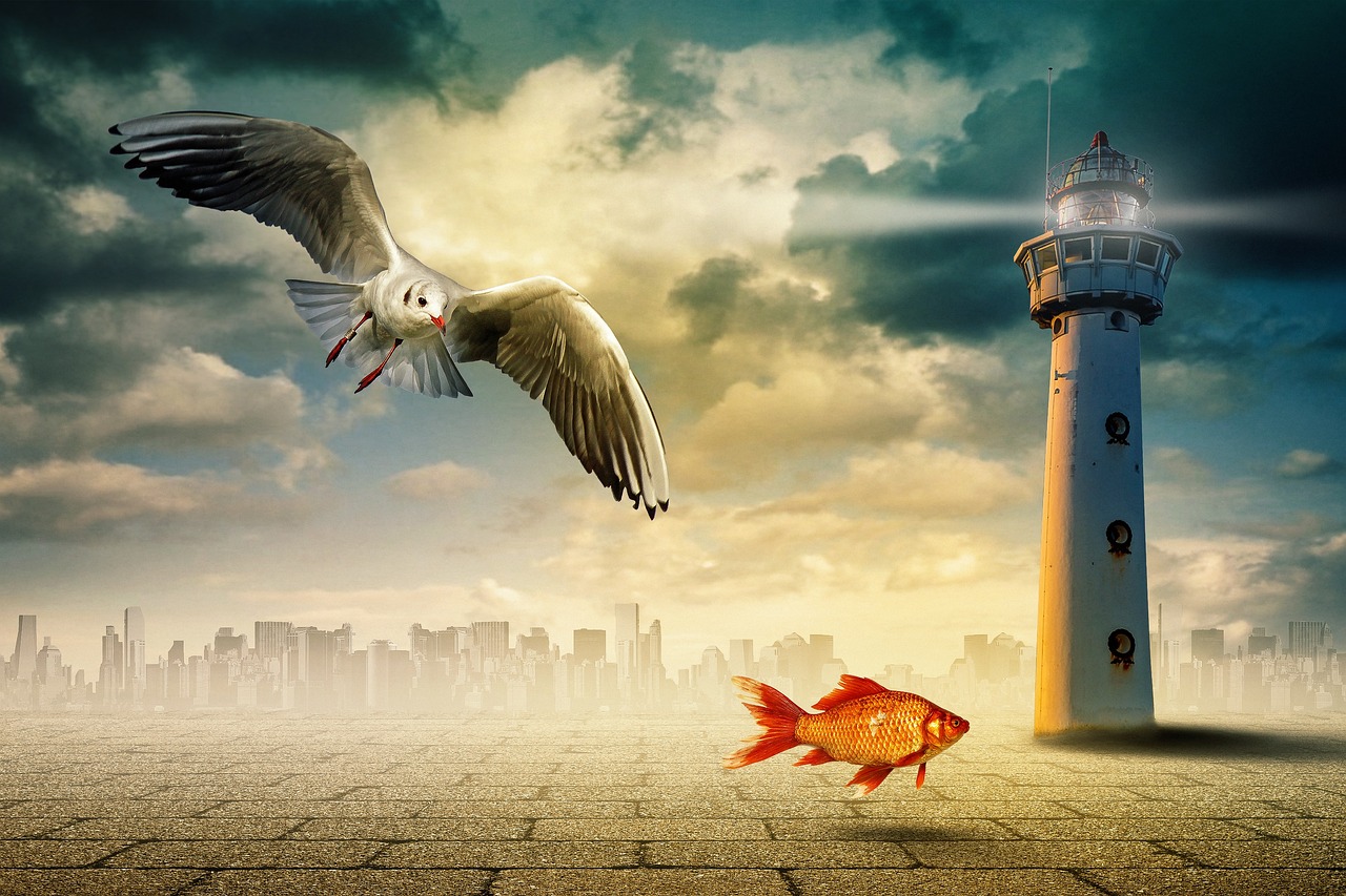 五月中国新型战斗机闪耀天际，五月之光与中国空中力量崛起