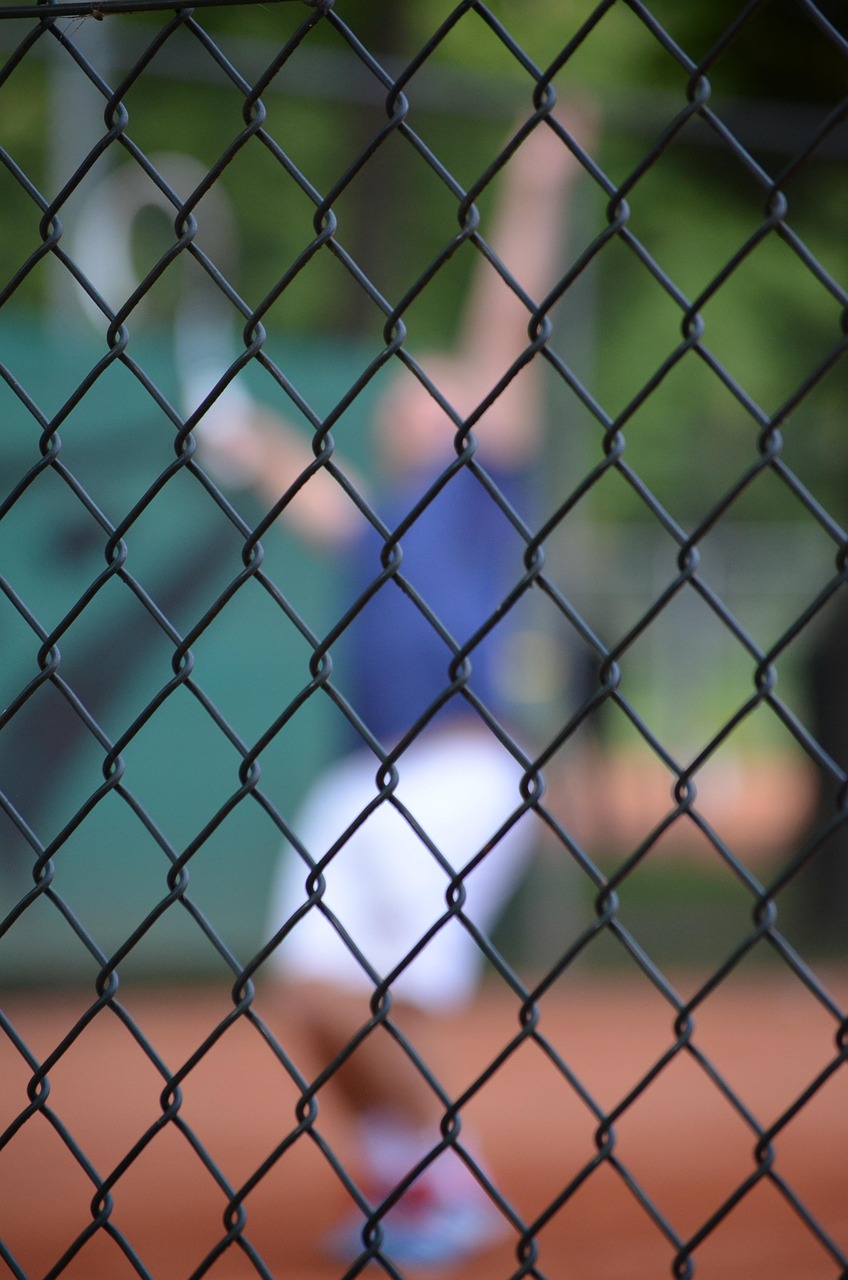 五月微型坦克资讯概览，最新动态与资讯全解析