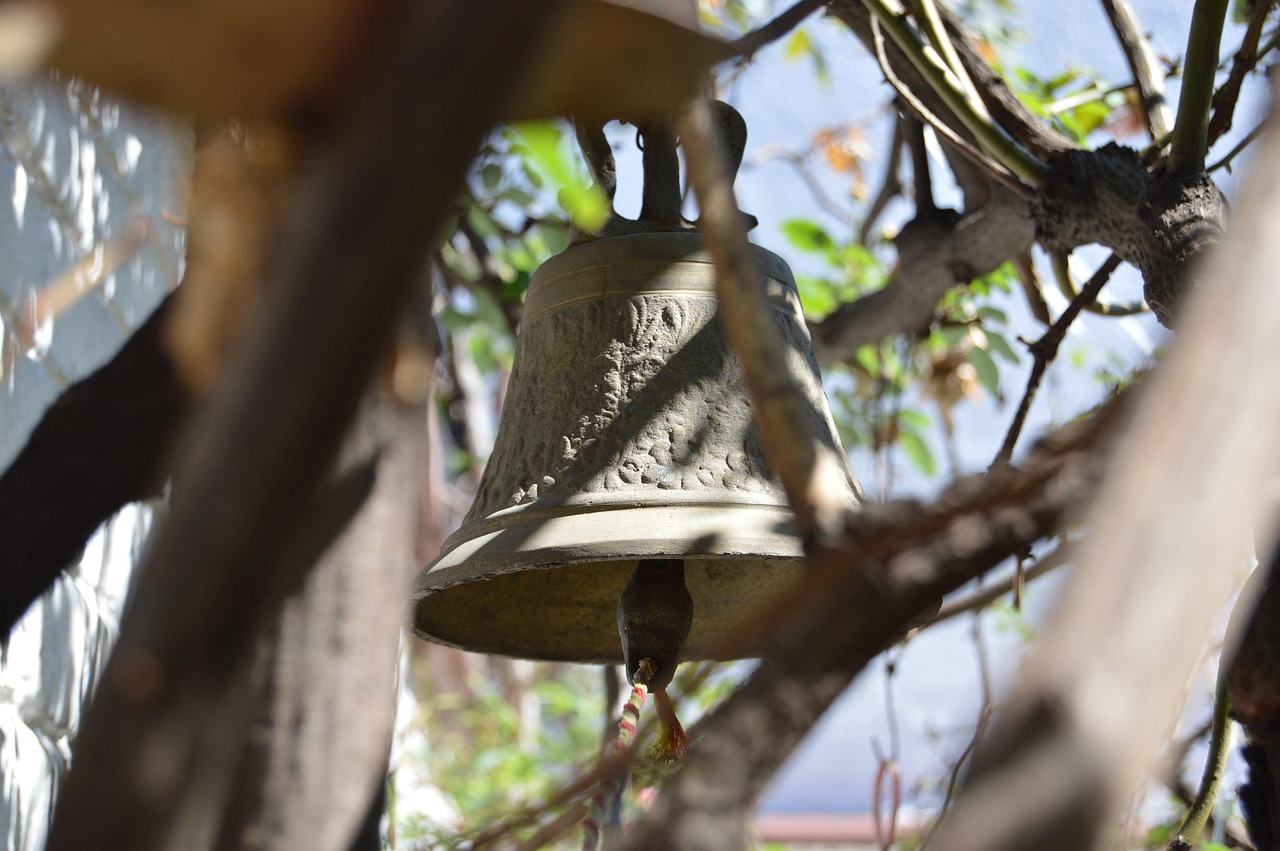 揭秘五月天然琥珀市场行情，价格走势与市场动态分析