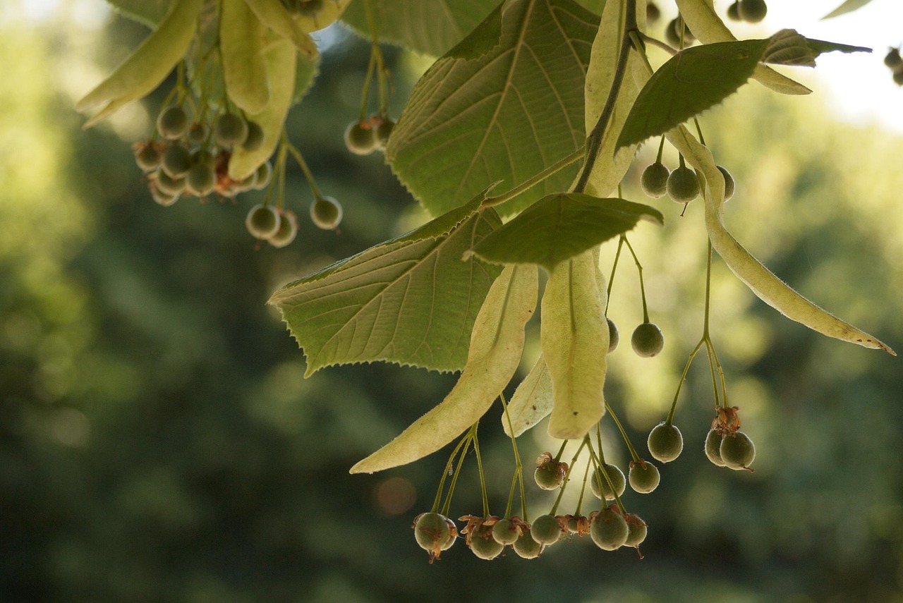 服务案例 第20页