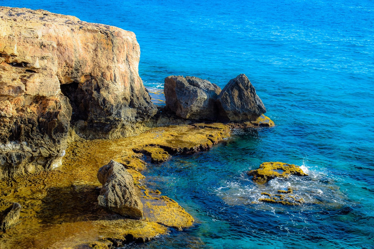 揭秘五月沃华医药最新动态，最新消息一览