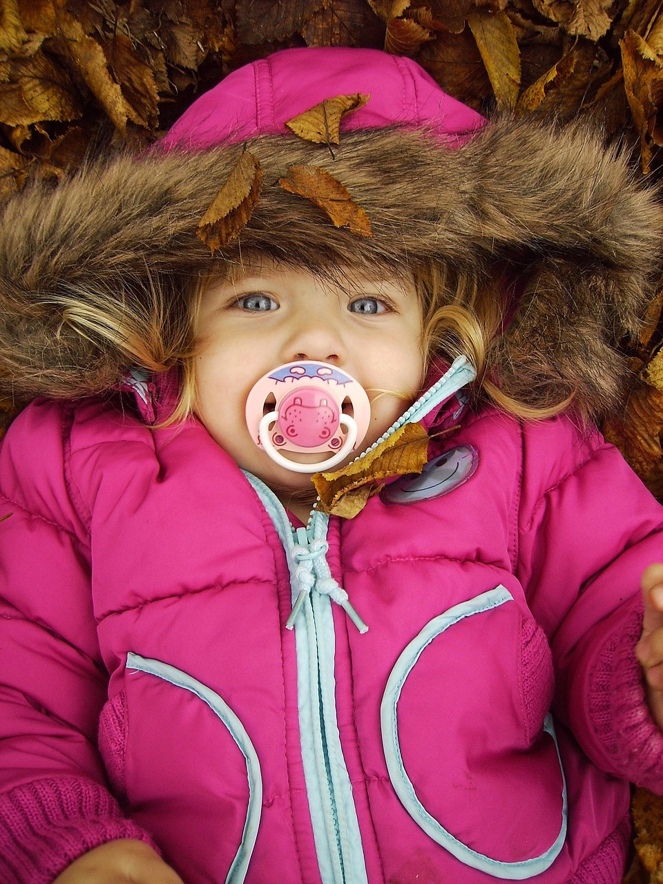 五月疯丫头第二季演员表全解析