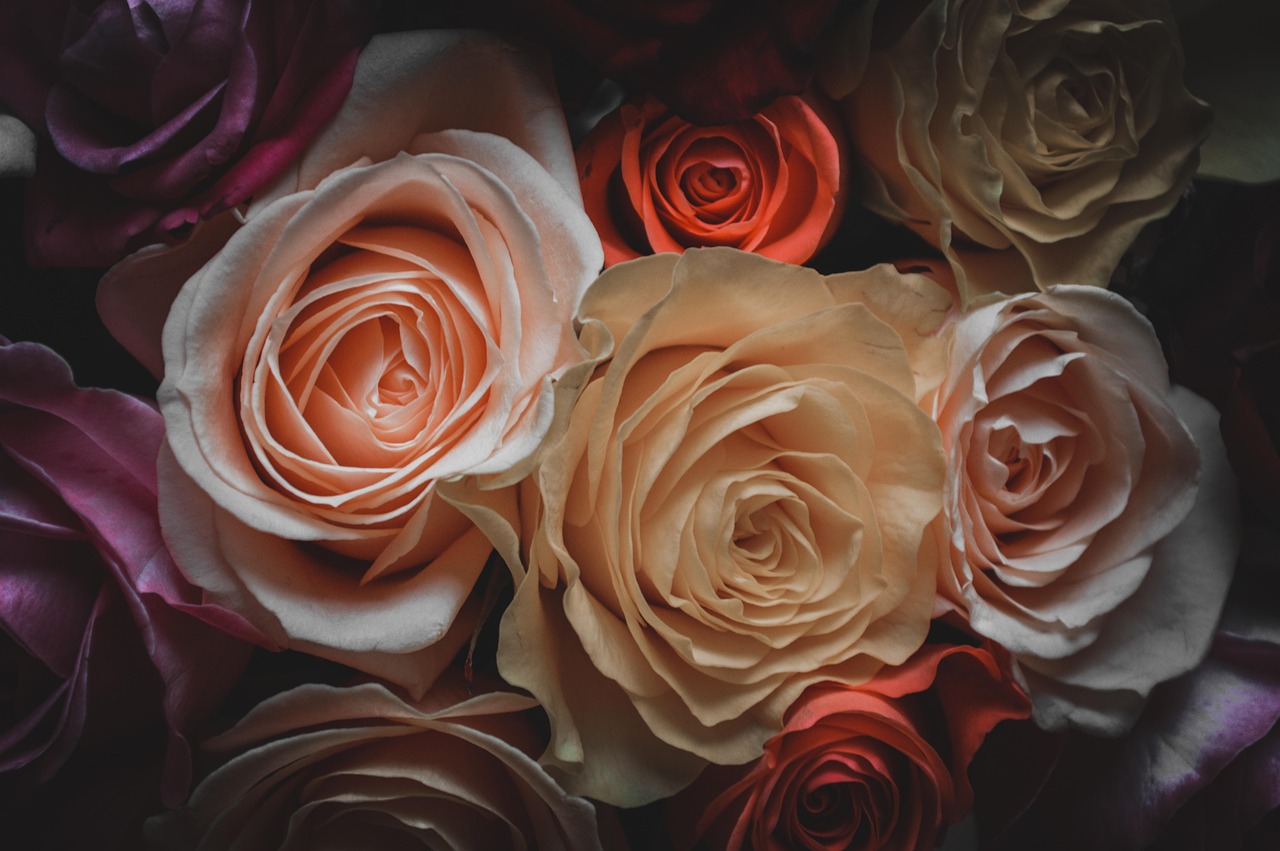 五月小明深入探索最新加密资讯的世界动态