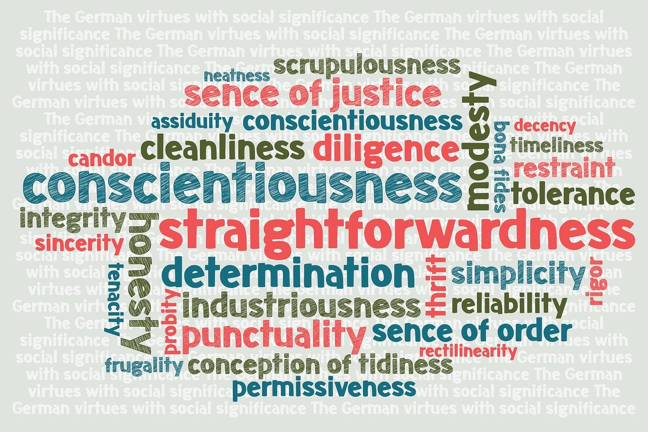 五月大连新建机场最新进展简报