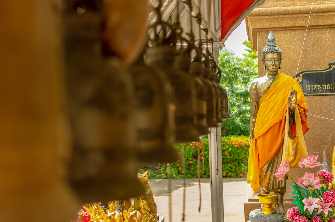 五月古装电视剧推荐，历史与文化的魅力展现，古装剧抢先看！