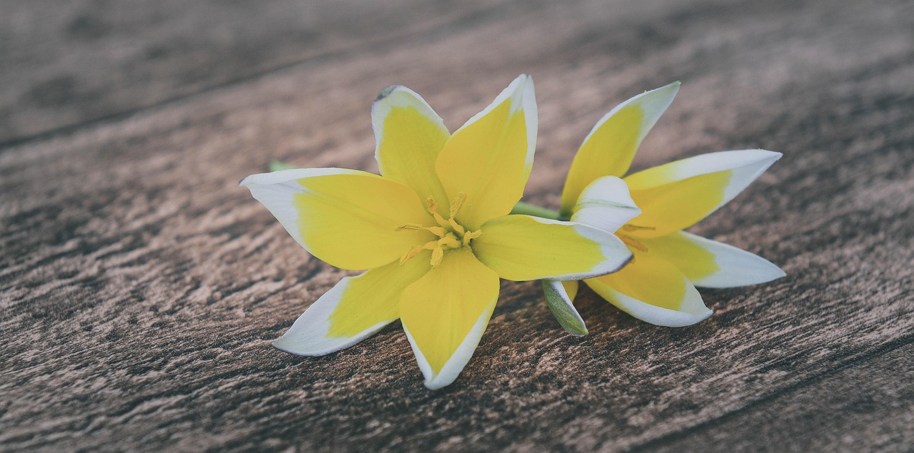 五月最新解禁资讯概览，最新解禁动态一网打尽