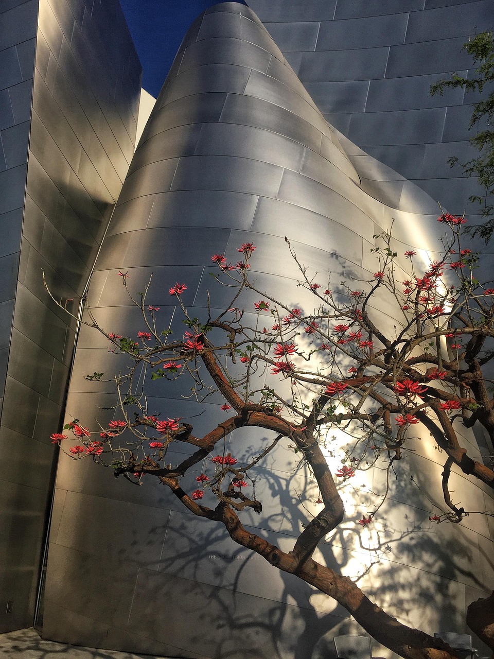 五月怀集房产项目概览,最新动态与未来展望