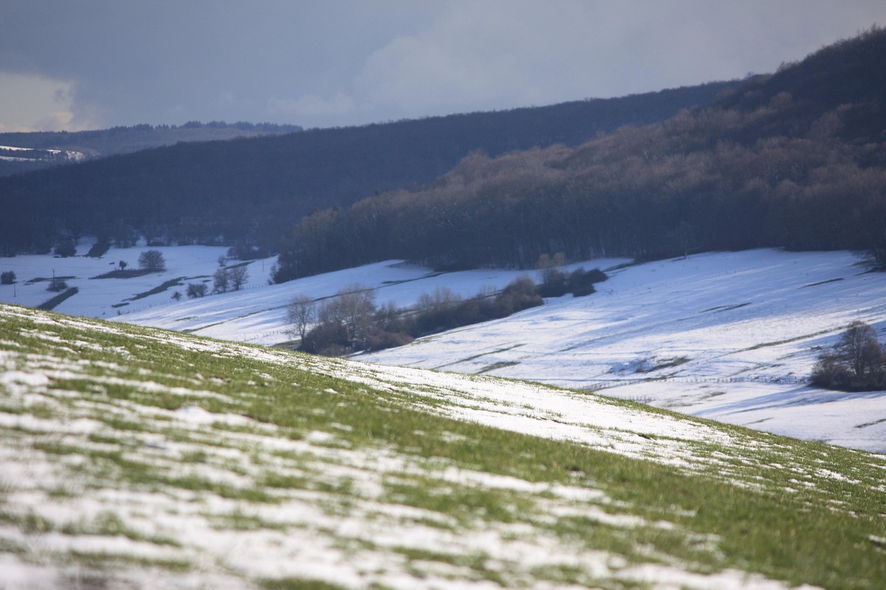 法国五月最新通告,新政策、动态展望与未来预测