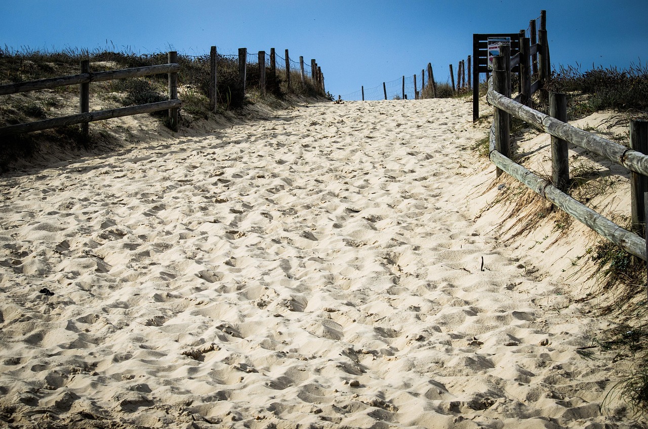 法国五月最新通告,新政策、动态展望与未来预测