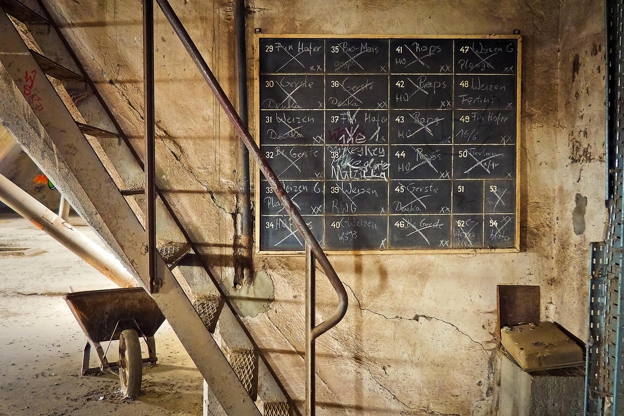 五月山东玉米价格动态分析简报