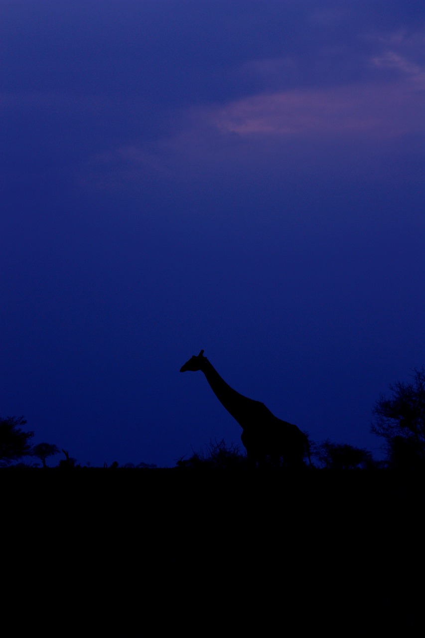 5月梁游最新动态,五月梁游新动态,探索未知,启程新的冒险之旅